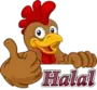 Ayam Halal