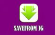 SaveFrom IG Cara Download Video Instagram Tanpa Watermark